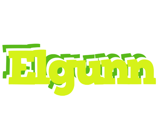Elgunn citrus logo