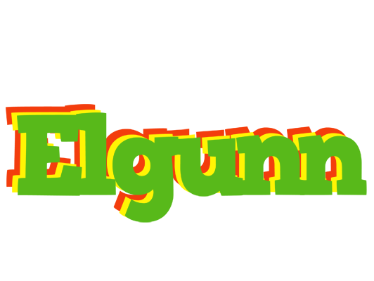 Elgunn crocodile logo
