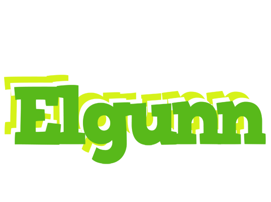 Elgunn picnic logo