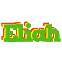Eliah crocodile logo