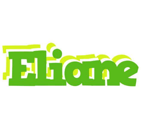 Eliane picnic logo