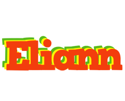 Eliann bbq logo