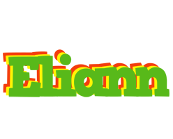 Eliann crocodile logo