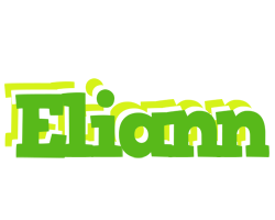 Eliann picnic logo