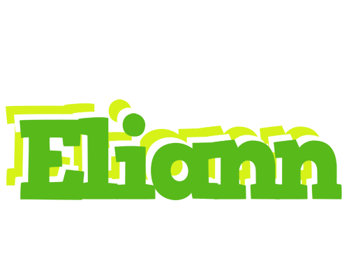 Eliann picnic logo