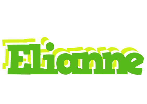 Elianne picnic logo