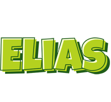 Elias summer logo