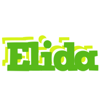 Elida picnic logo