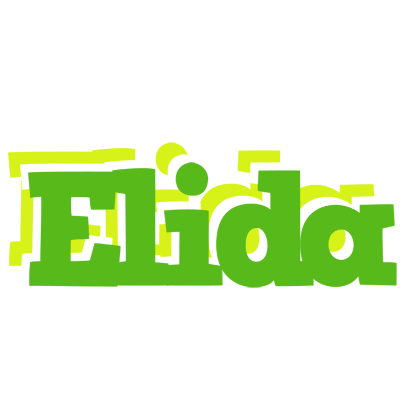 Elida picnic logo