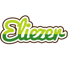 Eliezer golfing logo