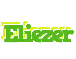 Eliezer picnic logo