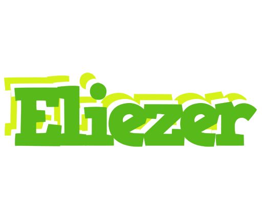 Eliezer picnic logo