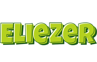 Eliezer summer logo