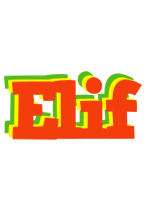 Elif bbq logo