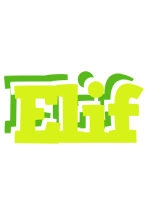 Elif citrus logo