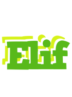 Elif picnic logo