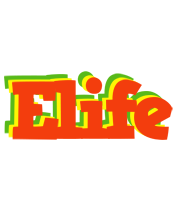 Elife bbq logo