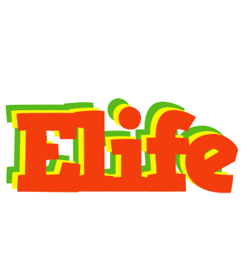Elife bbq logo