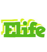 Elife picnic logo