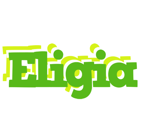 Eligia picnic logo