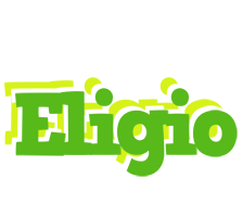 Eligio picnic logo