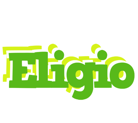 Eligio picnic logo
