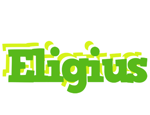 Eligius picnic logo