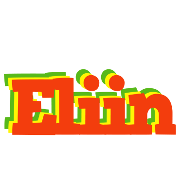 Eliin bbq logo