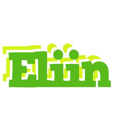 Eliin picnic logo