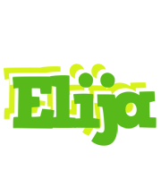 Elija picnic logo