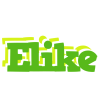 Elike picnic logo