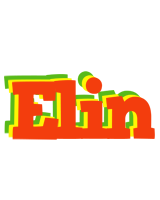 Elin bbq logo