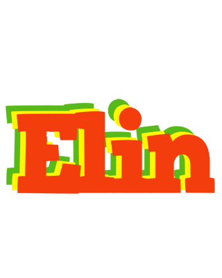 Elin bbq logo