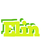 Elin citrus logo