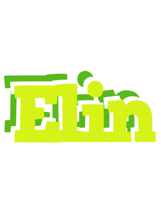 Elin citrus logo