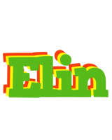 Elin crocodile logo