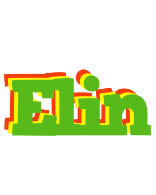 Elin crocodile logo