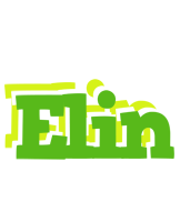 Elin picnic logo