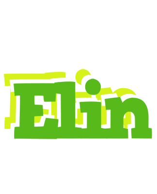 Elin picnic logo