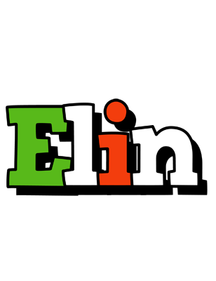 Elin venezia logo