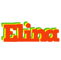 Elina bbq logo