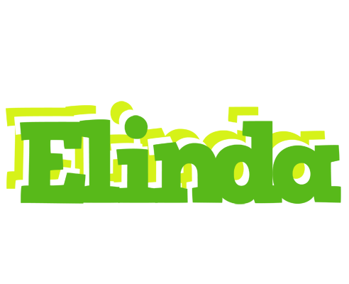Elinda picnic logo