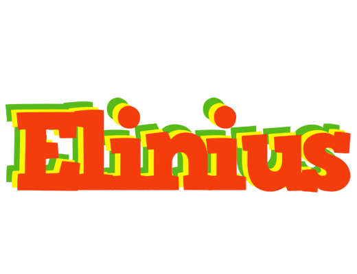Elinius bbq logo