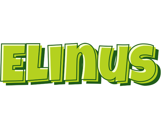 Elinus summer logo