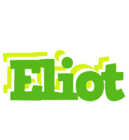 Eliot picnic logo