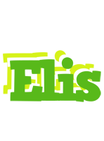 Elis picnic logo