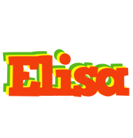 Elisa bbq logo