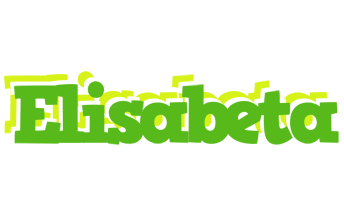 Elisabeta picnic logo