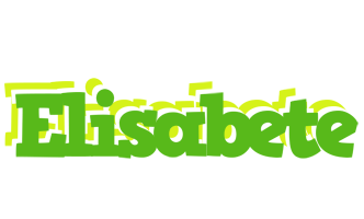 Elisabete picnic logo