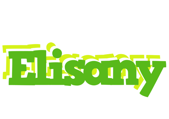 Elisany picnic logo